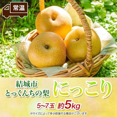 【2026先行予約】とっくんちの梨「にっこり」約5kg