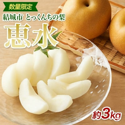 【2026先行予約】数量限定 とっくんちの梨「恵水」約3kg