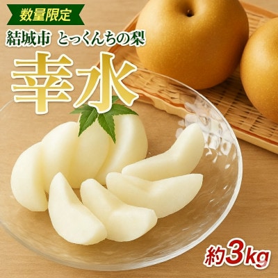 【2026先行予約】数量限定 とっくんちの梨「幸水」約3kg