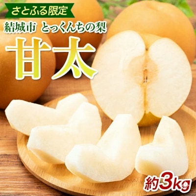 【2026先行予約】数量限定 とっくんちの梨「甘太」約3kg