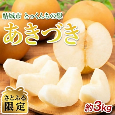 【さとふる限定】【2026先行予約】数量限定 とっくんちの梨「あきづき」約3kg
