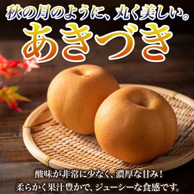 【さとふる限定】【2026先行予約】数量限定 とっくんちの梨「あきづき」約3kg
