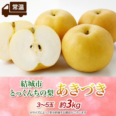 【さとふる限定】【2026先行予約】数量限定 とっくんちの梨「あきづき」約3kg