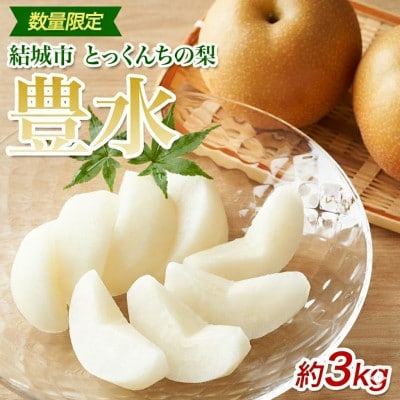 【2026先行予約】数量限定 とっくんちの梨「豊水」約3kg