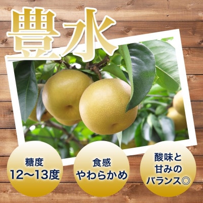 【2026先行予約】数量限定 とっくんちの梨「豊水」約3kg