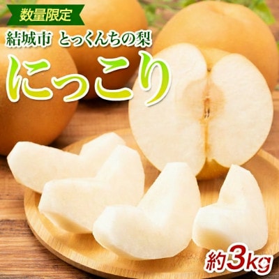 【2026先行予約】数量限定 とっくんちの梨「にっこり」約3kg