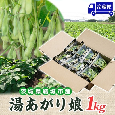 【2026年先行予約】枝豆 湯あがり娘 約1kg 国産 甘みのある濃厚な味わい