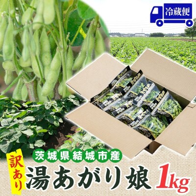 【2026年先行予約】枝豆 湯あがり娘 訳あり 約1kg 国産 甘みのある濃厚な味わい