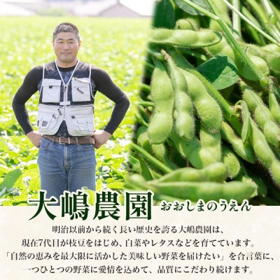 【2026年先行予約】枝豆 陽恵 約1kg 国産 茨城県 結城市