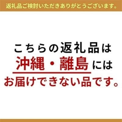 絹フロマージュ チーズケーキ 4号 冷凍スイーツ アルチザン パティシエ イタバシ