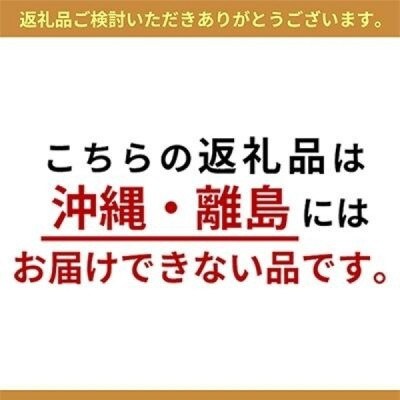 【無地熨斗】 絹フロマージュ チーズケーキ 4号 冷凍 スイーツ アルチザン パティシエ イタバシ
