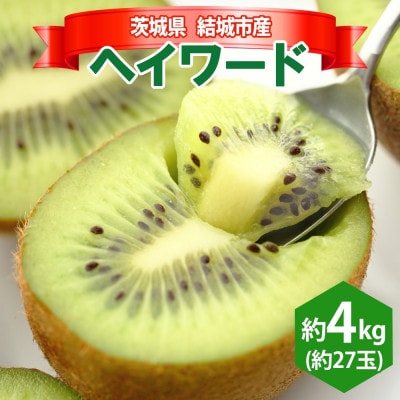 【2025年12月発送予定】 石井果樹園のキウイ ヘイワード 約4kg 約27玉