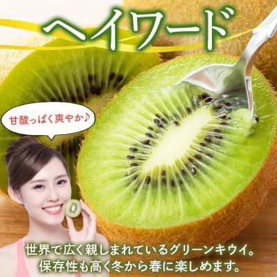 【2025年12月発送予定】 石井果樹園のキウイ ヘイワード 約4kg 約27玉