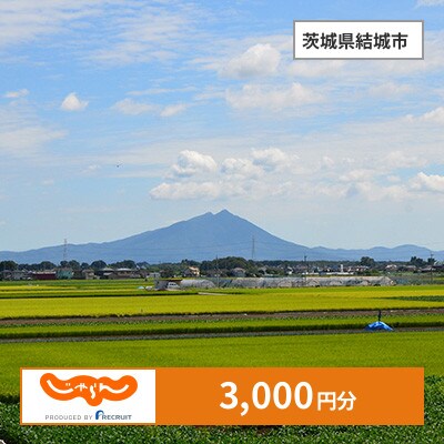 【じゃらんふるさと納税クーポン】 茨城県結城市でつかえる3,000円 クーポン