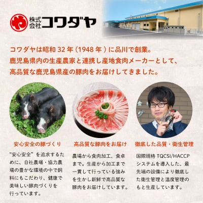 【定期便 全6回】黒豚のプロフェッショナル「コワダヤ」の厳選黒豚味わい尽くしコース 鹿児島 南さつま