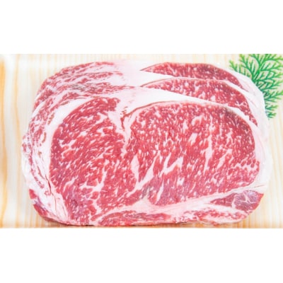 【熟成国産牛】ドライエイジング黒毛和牛ロースステーキ約500g(170g×3)スターゼン 南さつま市