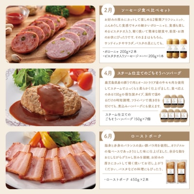 【定期便 全6回:偶数月発送】お肉のおかず定期便[みなみさつまのミートデリ]