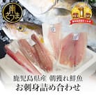 ★お申込みの翌月にお届け★【漁師厳選】朝獲れ鮮魚のお刺身詰め合わせ(4種) 冷蔵 鮮魚 生食用