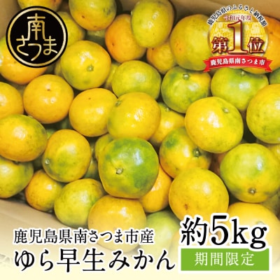 【期間限定】温州ゆら早生 みかん 約5kg 柑橘 くだもの フルーツ 蜜柑 温州みかん 鹿児島県産