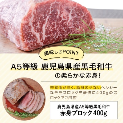 【鹿児島県産】A5 黒毛和牛 特撰赤身ブロック 400g