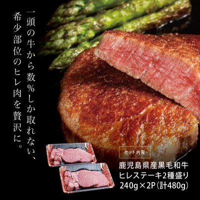 【鹿児島県産】A4等級以上黒毛和牛ヒレステーキ2種480g (ステーキカット・サイコロカット)
