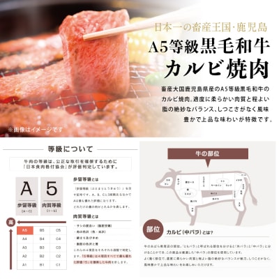 【鹿児島県産】A5等級黒毛和牛 カルビ焼肉 計600g(200g×3P)