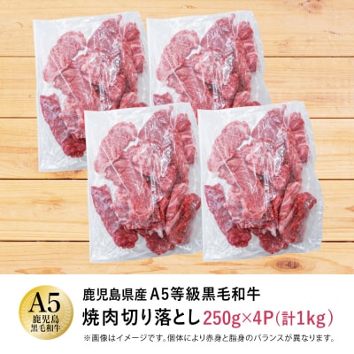 【鹿児島県産】A5等級黒毛和牛 焼肉 切り落とし計1kg(250g×4P)