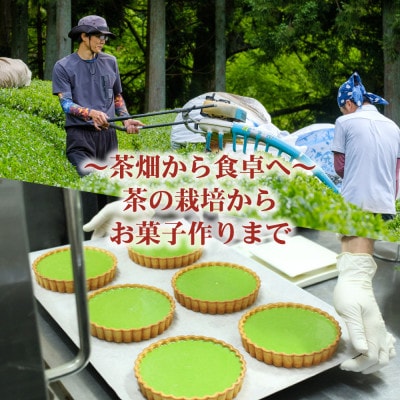 和束産自家栽培茶の濃厚抹茶&ほうじ茶チーズケーキ食べ比べセット《ギフト好適》