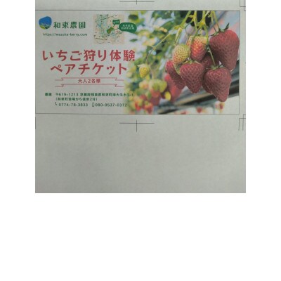 いちご狩り体験　ペアチケット