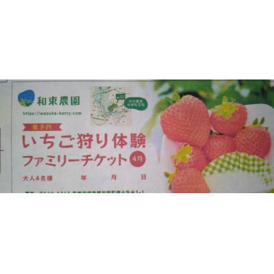 いちご狩り体験ファミリーチケット(四人分)