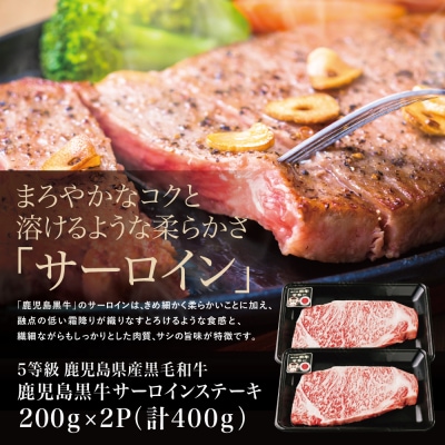 【鹿児島黒牛】5等級 サーロインステーキ2枚 計400g JA食肉かごしま 鹿児島県産黒毛和牛 牛肉