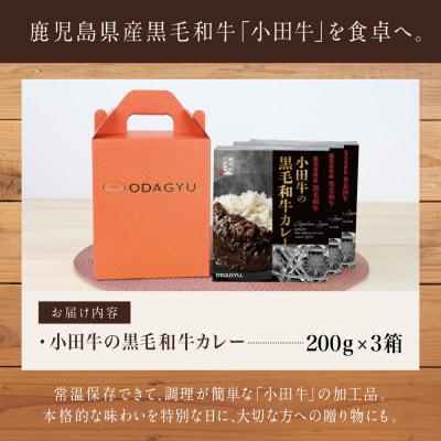 【プレミアムブランド】鹿児島県産黒毛和牛「小田牛」 黒毛和牛カレー 3食(200g×3)