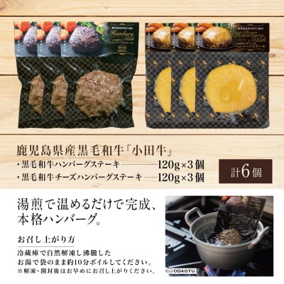 【プレミアムブランド】鹿児島県産黒毛和牛「小田牛」 牛肉100% 2種類のハンバーグステーキ 計6個