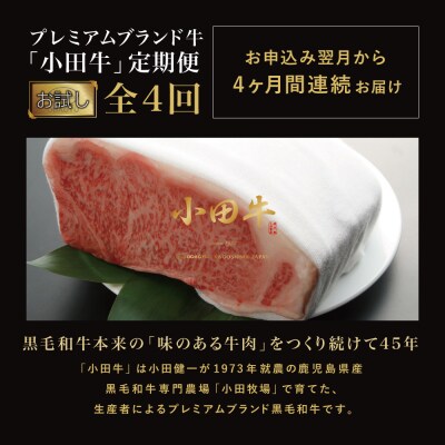 【全4回 プレミアムブランド和牛「小田牛」定期便 (お試し)】 鹿児島県産黒毛和牛 