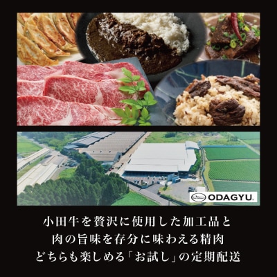 【全4回 プレミアムブランド和牛「小田牛」定期便 (お試し)】 鹿児島県産黒毛和牛 