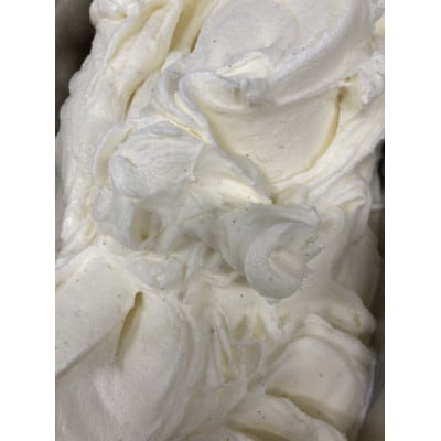 【さとふる限定】沖縄県産バニラビーンズ香るバニラジェラート計4000cc