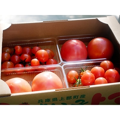 ふるさと新鮮野菜 ミニトマトとトマトのセット お礼品詳細 ふるさと納税なら さとふる ふるさと新鮮野菜 ミニトマトとトマトのセット お礼品詳細 ふるさと納税なら さとふる
