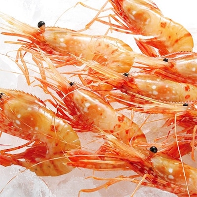 【宗谷産】冷凍ほたて貝柱・鮭いくら醤油漬・ぼたん海老セット