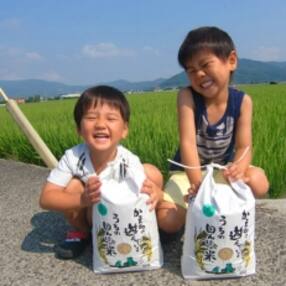 【令和4年産】農薬、化学肥料を極限まで減らした、ひなたむらのさがびより玄米5kg×2袋