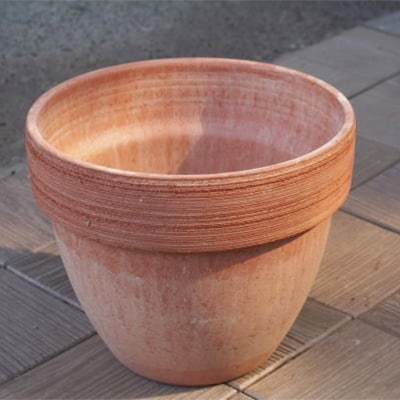 季節のお花寄せ植え(オレンジ・黄色系)