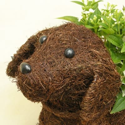 チビわんこの寄せ植え(1匹)