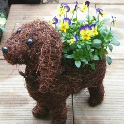 チビわんこの寄せ植え(1匹)
