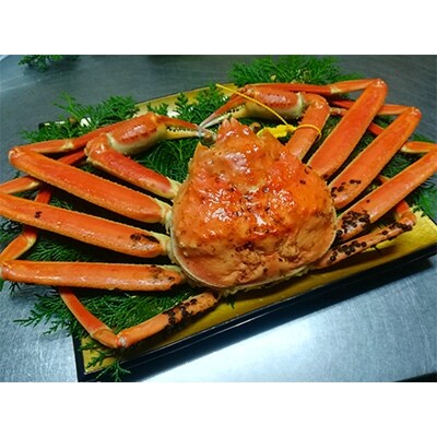 越前かに(ボイル約800～1000g)