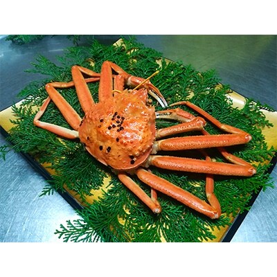 越前かに(ボイル 300g～400g)