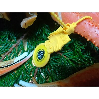 越前かに(ボイル 300g～400g)