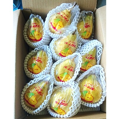 南信州産「西洋梨:ル・レクチェ」約2.5kg