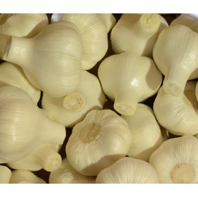 生にんにく 約1.5kg