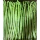 夏芽!訳ありさぬきのめざめ アスパラガス約1kg