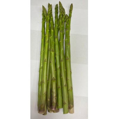 びっくりサイズ!春芽さぬきのめざめ約50cmロングアスパラガス 20本入り