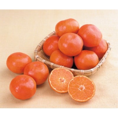 訳あり小原紅早生みかん(小玉サイズ) 約4.5kg (+傷み補てん分500g)